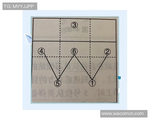 武汉排球队节奏打法深度解析与战术特点剖析
